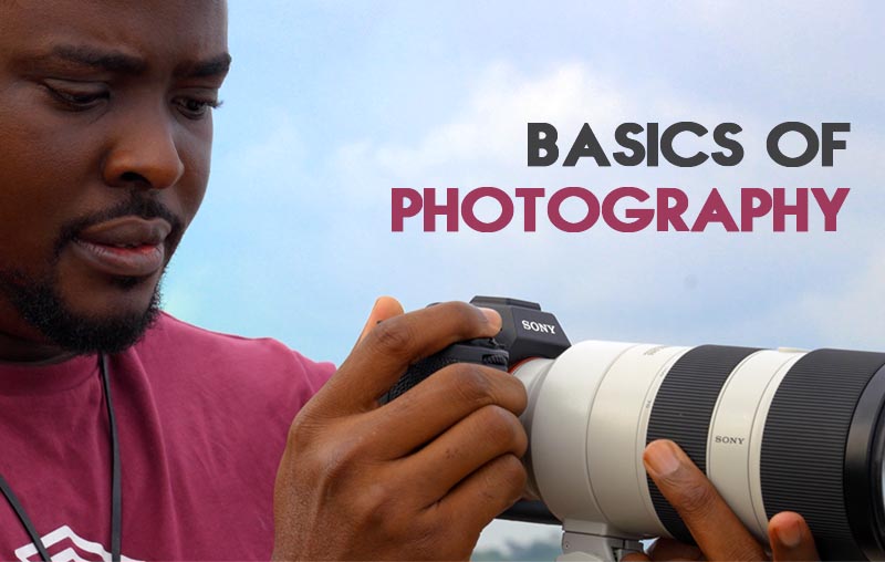 Basics of Photography: Tips to Get You Started