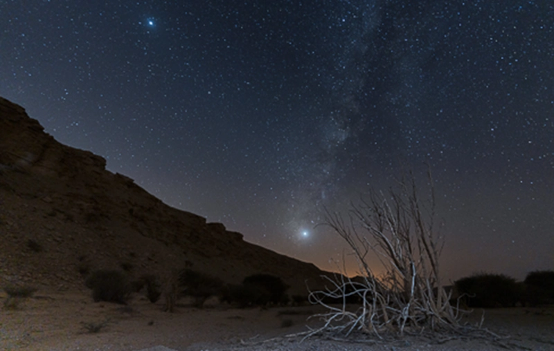 التصوير باستخدام كاميرا A7IV