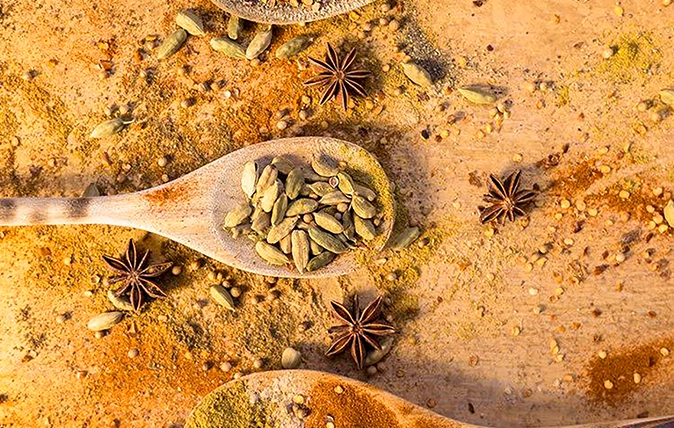 Frame the Flavor with Hands-On Journey in Food Photography