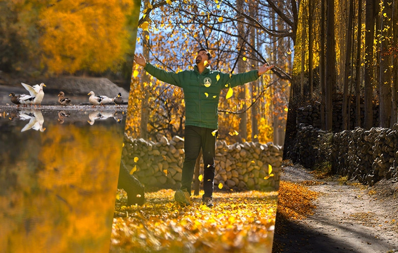 Capturing Autumn Colors: My Journey, Gear and Secrets for the Perfect Shot (Part 1/2)