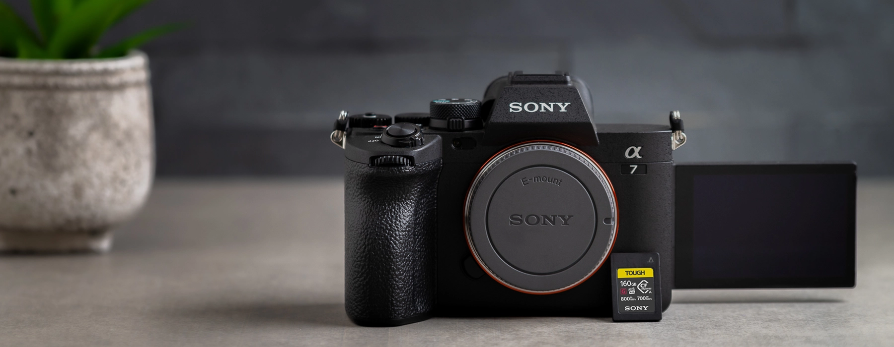 Alpha 7M3 vs. 7M4 Unpacking the Evolution of Sony’s Hybrid Cameras