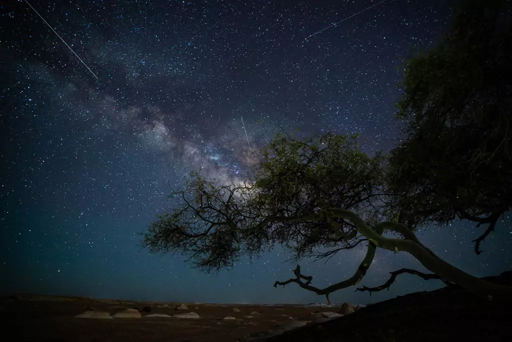 The lonley tree under the milky way.
